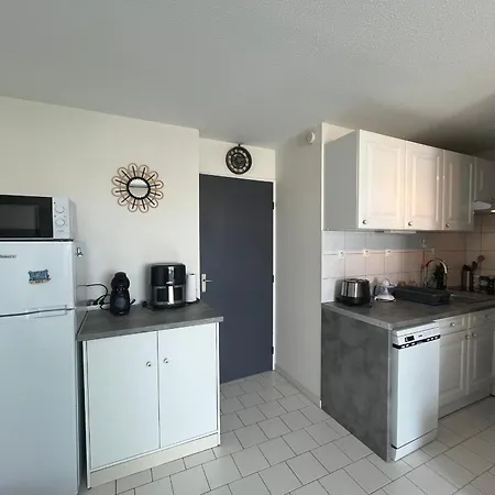 Apartmán 2 Pieces Avec Loggia Vue Canal, Garage Ferme Et Wifi - Fr-1-338-631 Sète