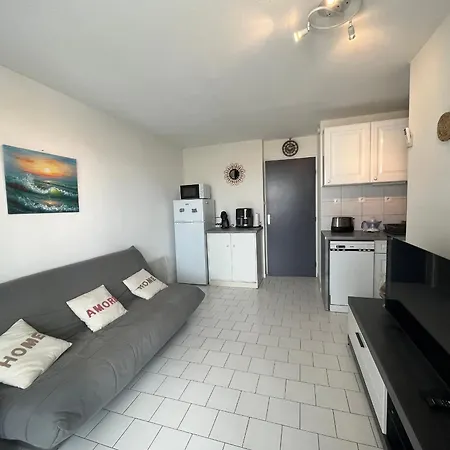 2 Pieces Avec Loggia Vue Canal, Garage Ferme Et Wifi - Fr-1-338-631 * Sète