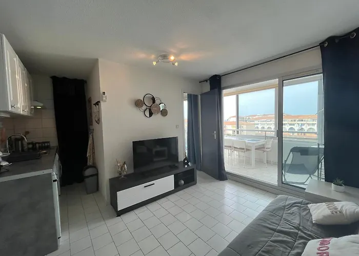 2 Pieces Avec Loggia Vue Canal, Garage Ferme Et Wifi - Fr-1-338-631 * Sète