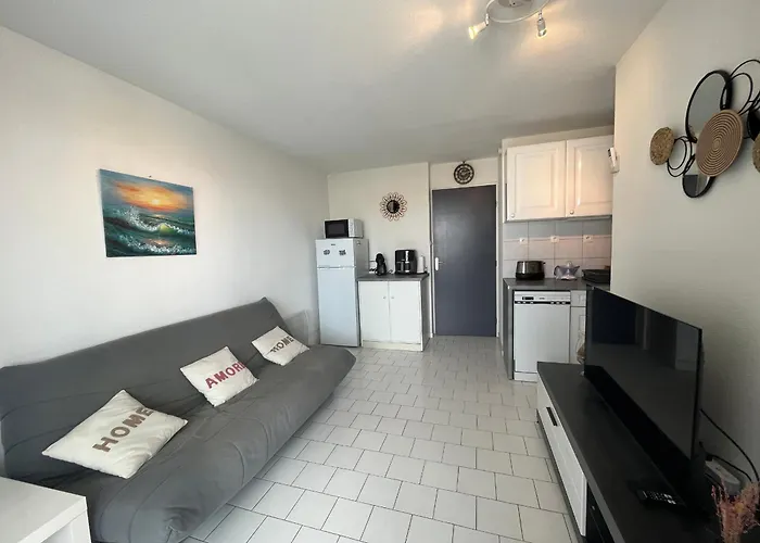 2 Pieces Avec Loggia Vue Canal, Garage Ferme Et Wifi - Fr-1-338-631 * Sète